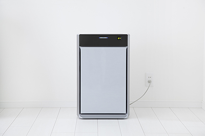 air purifier vs dehumidifier